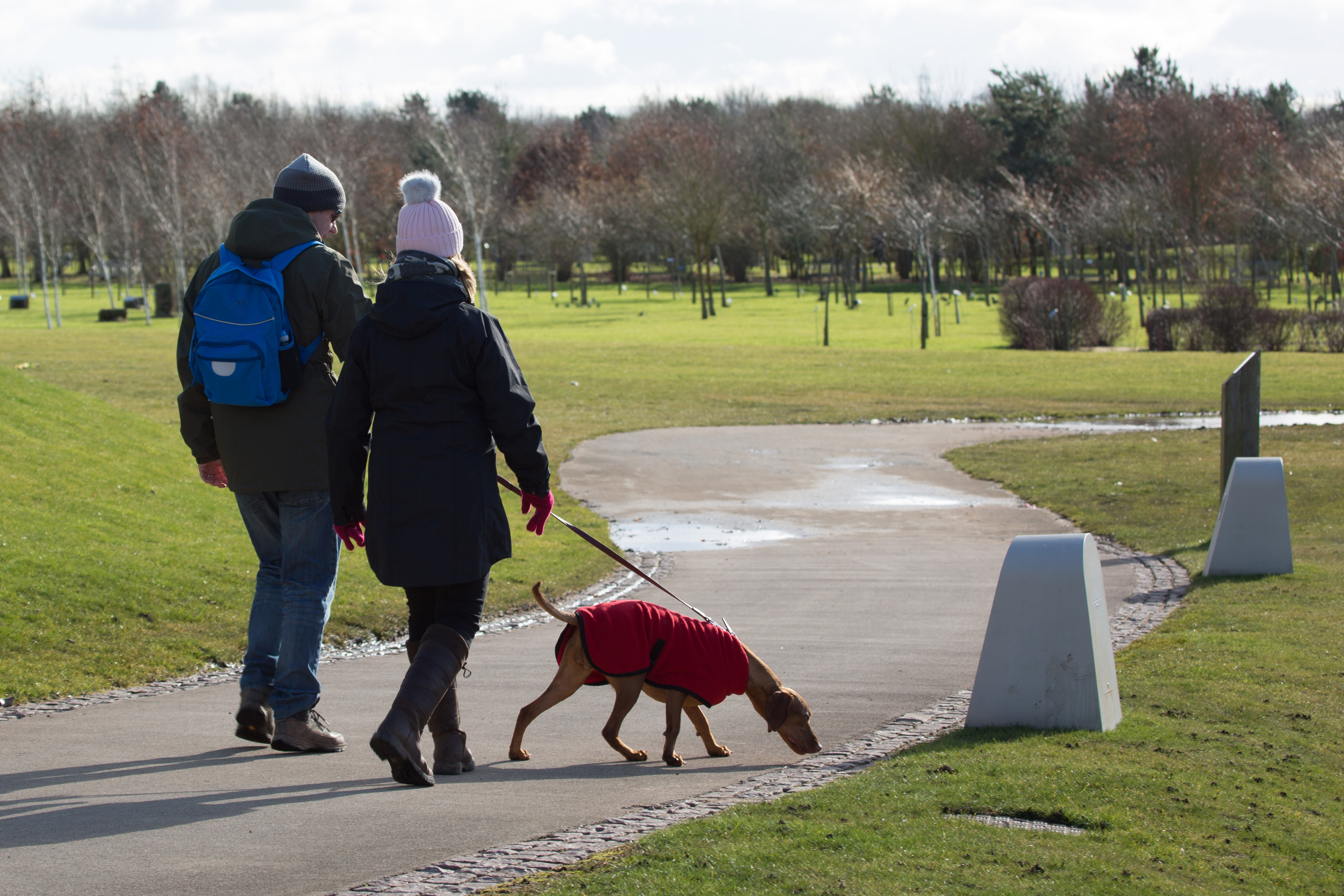 Dog walks at the National Remembrance Gardens
