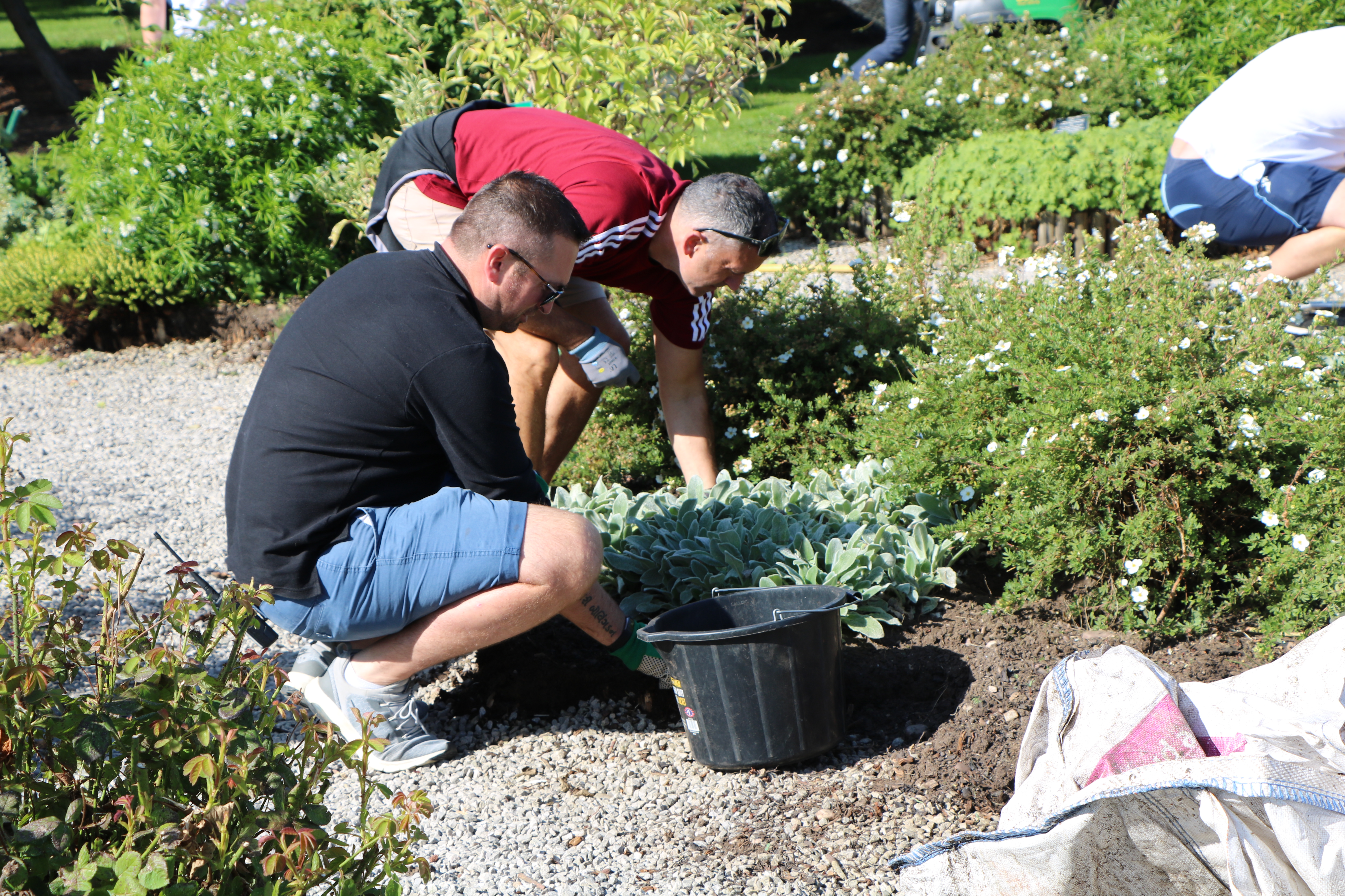Briggs Equipment employees helping to maintain the grounds at the arboretum, pruning flowers and bushes on a sunny day.