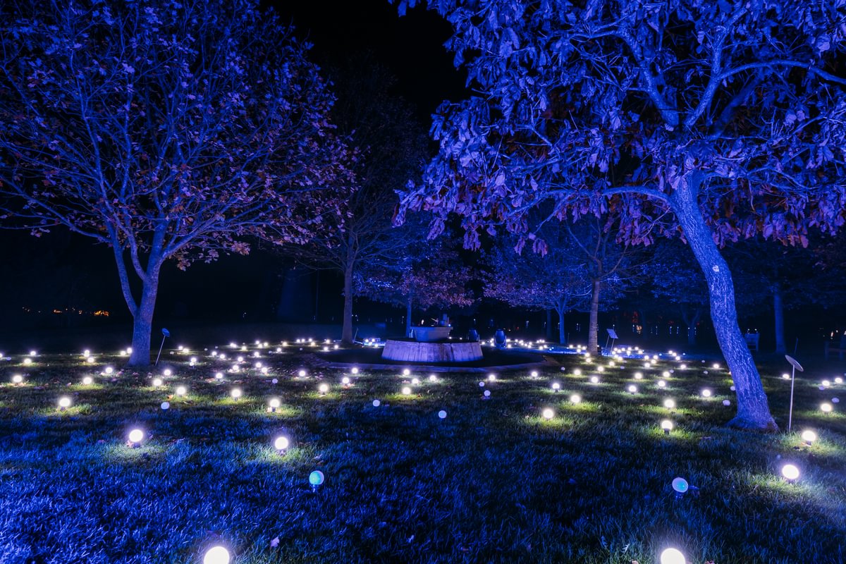 Small round bulbs spread out across an open grass area give a warm yellow glow, contrasted by the blue light being cast all around. Trees bathed in blue light surround the central memorial.