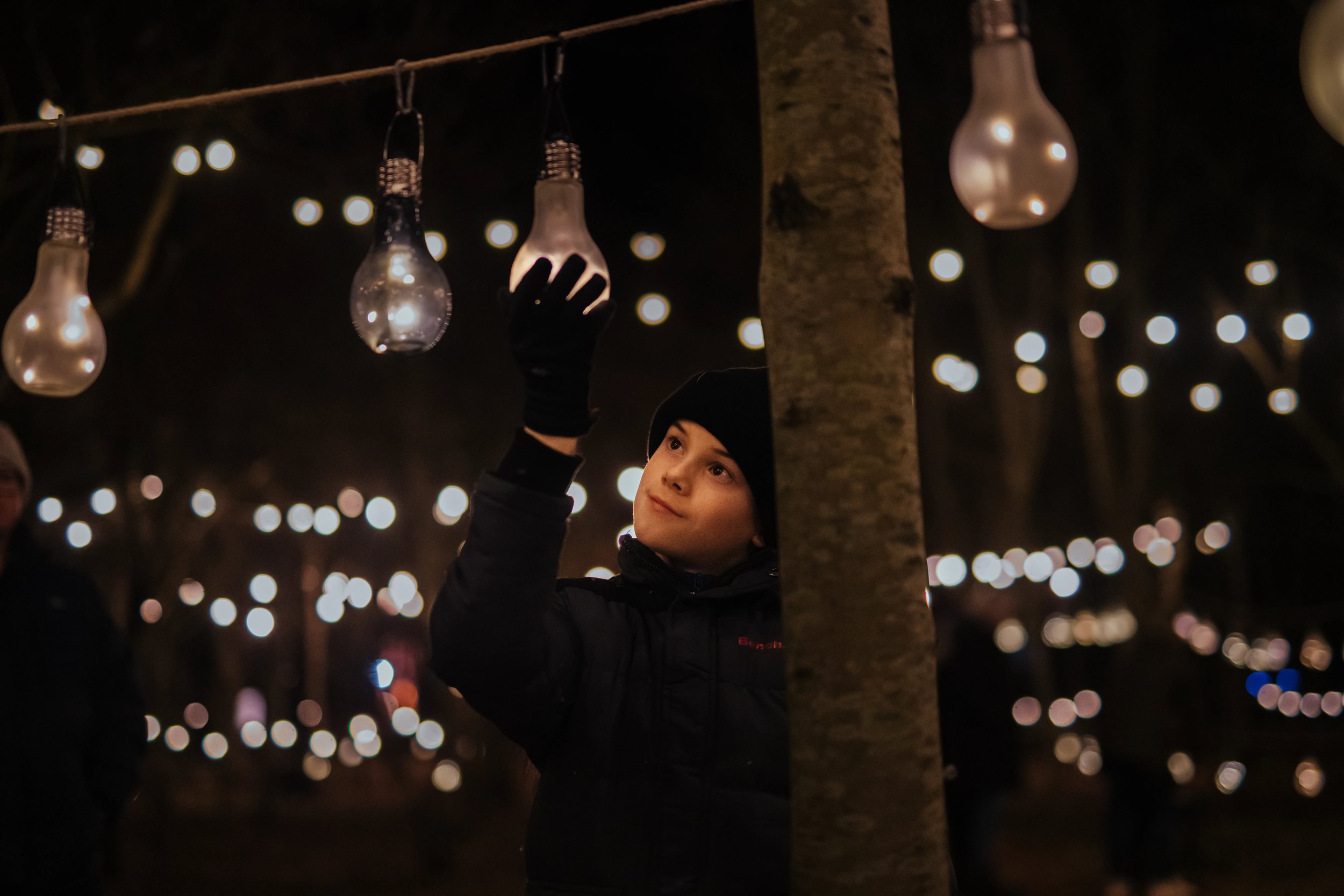 A young boy holds a lightbulb, adding to a display of lit bulbs in a woodland bathed with warming light.