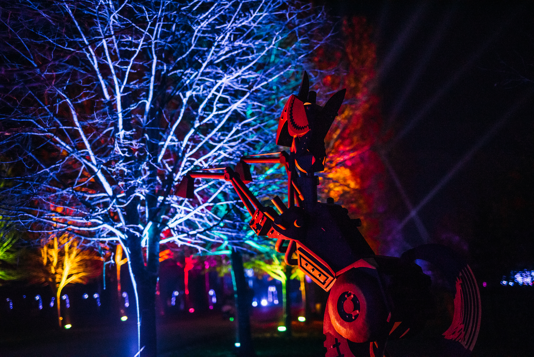 Illuminated 2022_ (169)