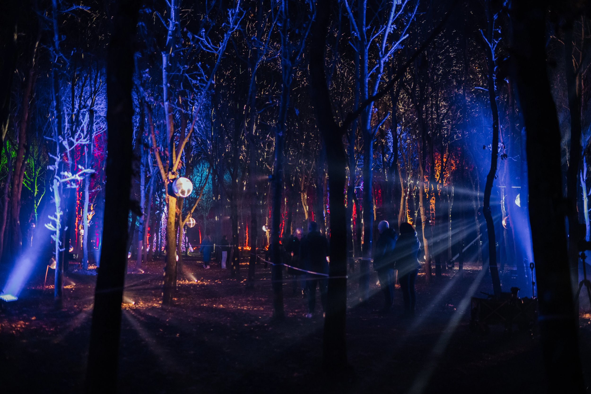 A wide shot of a woodland at night. Different coloured lights are shining on the trees. A group of people are walking along a roped path. To the left a large glitterball is hanging from a tree, reflecting the lights.