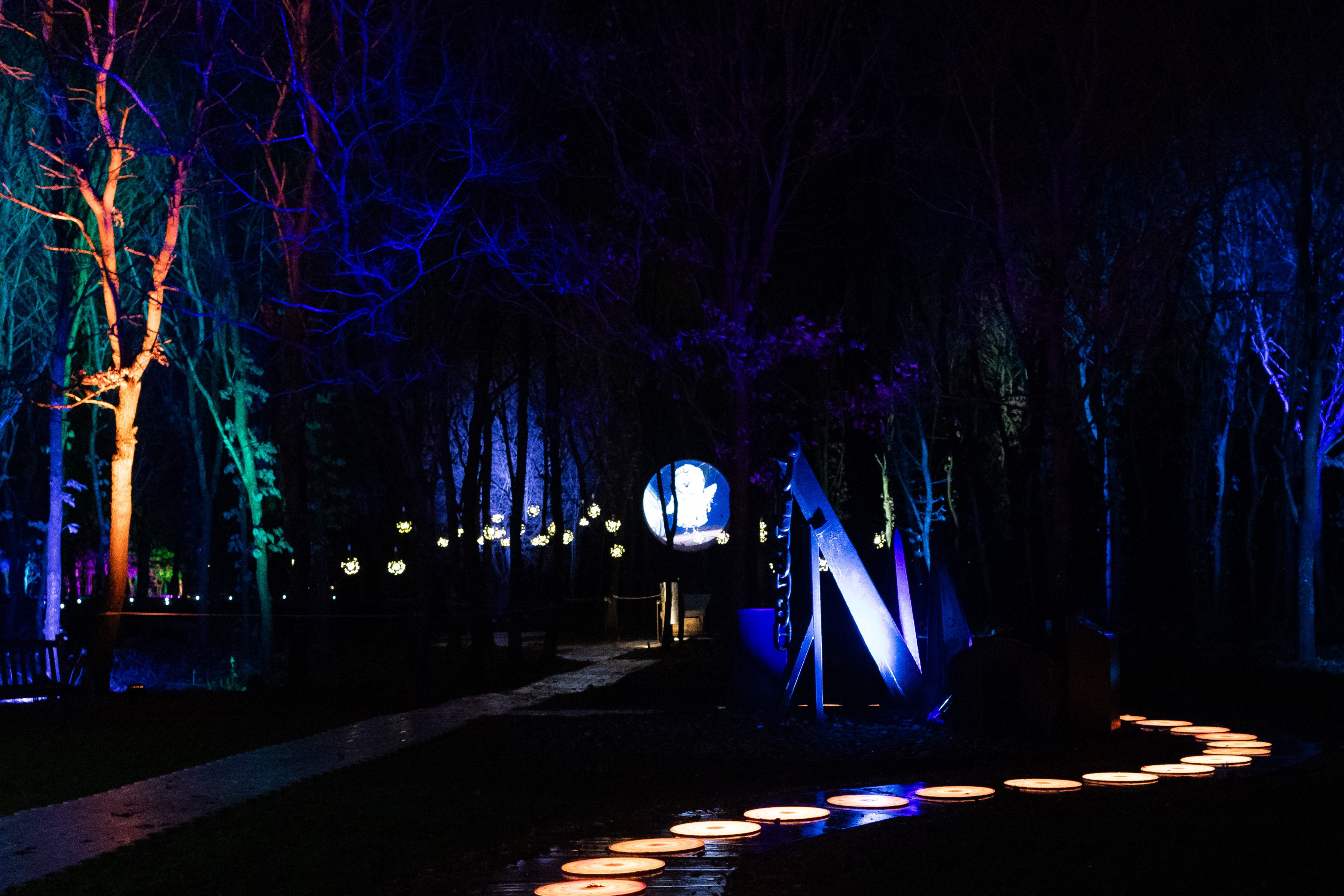 The Merchant Navy Woodland lit up as part of Illuminated 2024