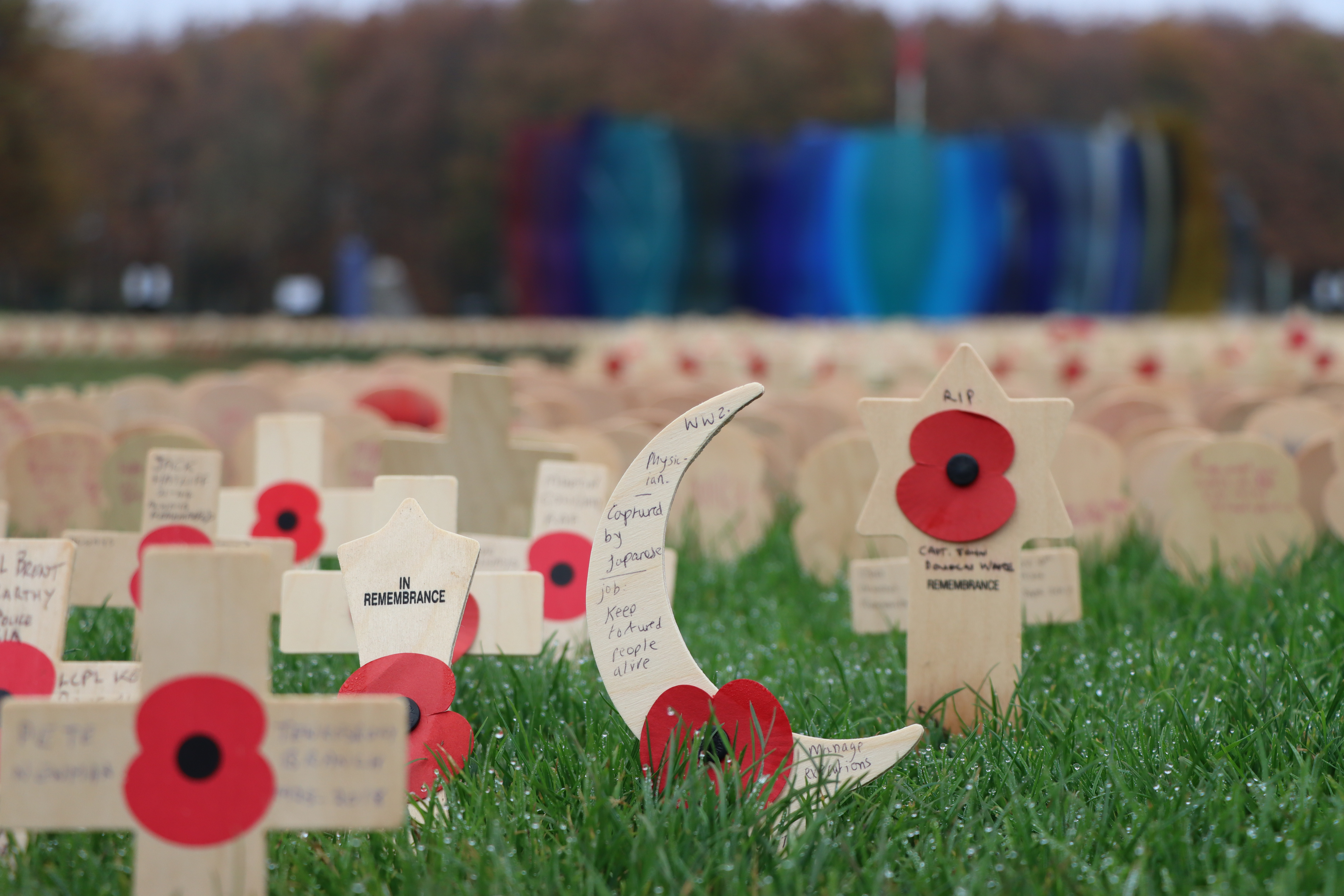Royal British Legion Field of Remembrance in 2025