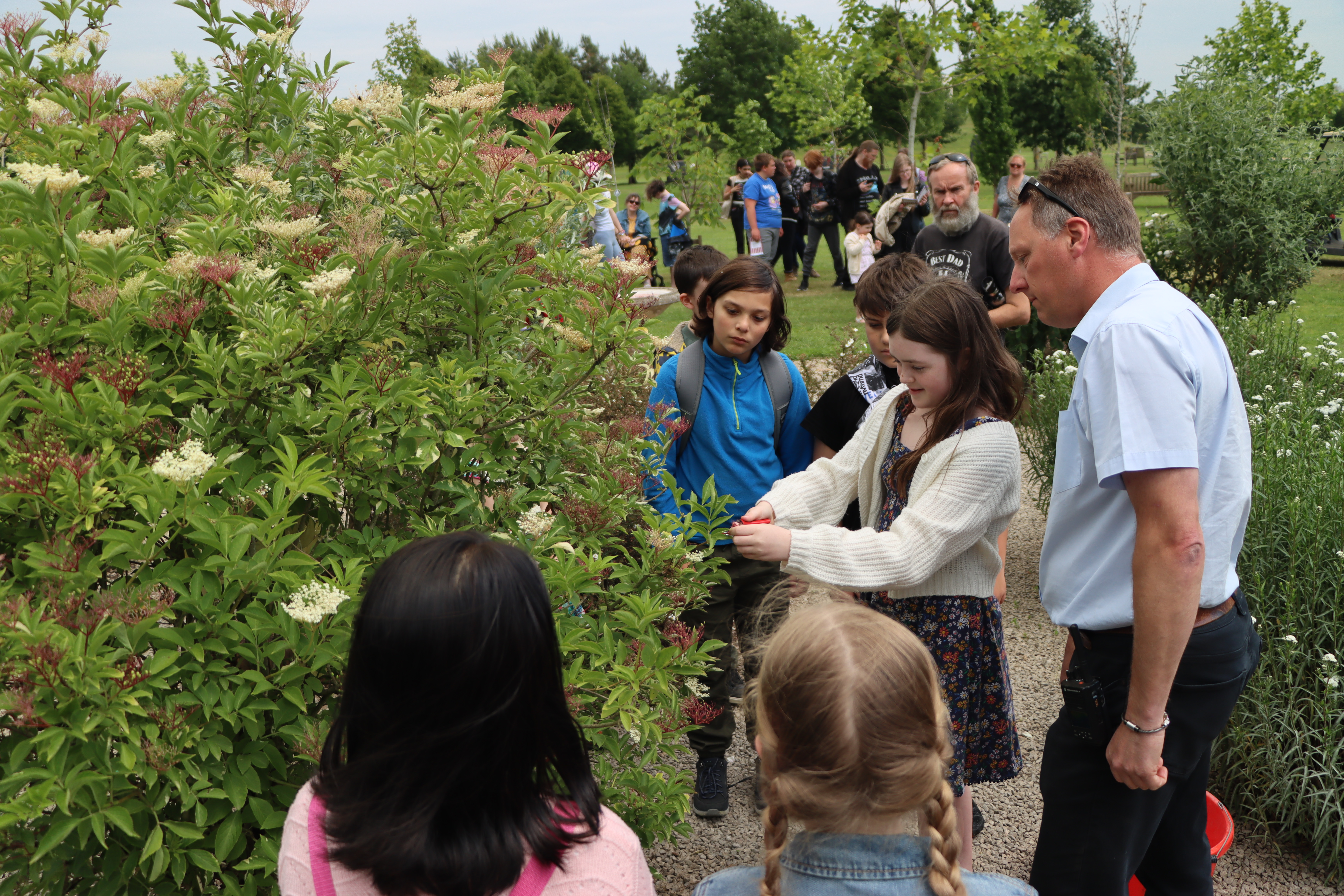 Children assist in cutting the blossoms on the Anne Frank Tree, an event which happens every year on her birthday to symbolise her never having reached womanhood.