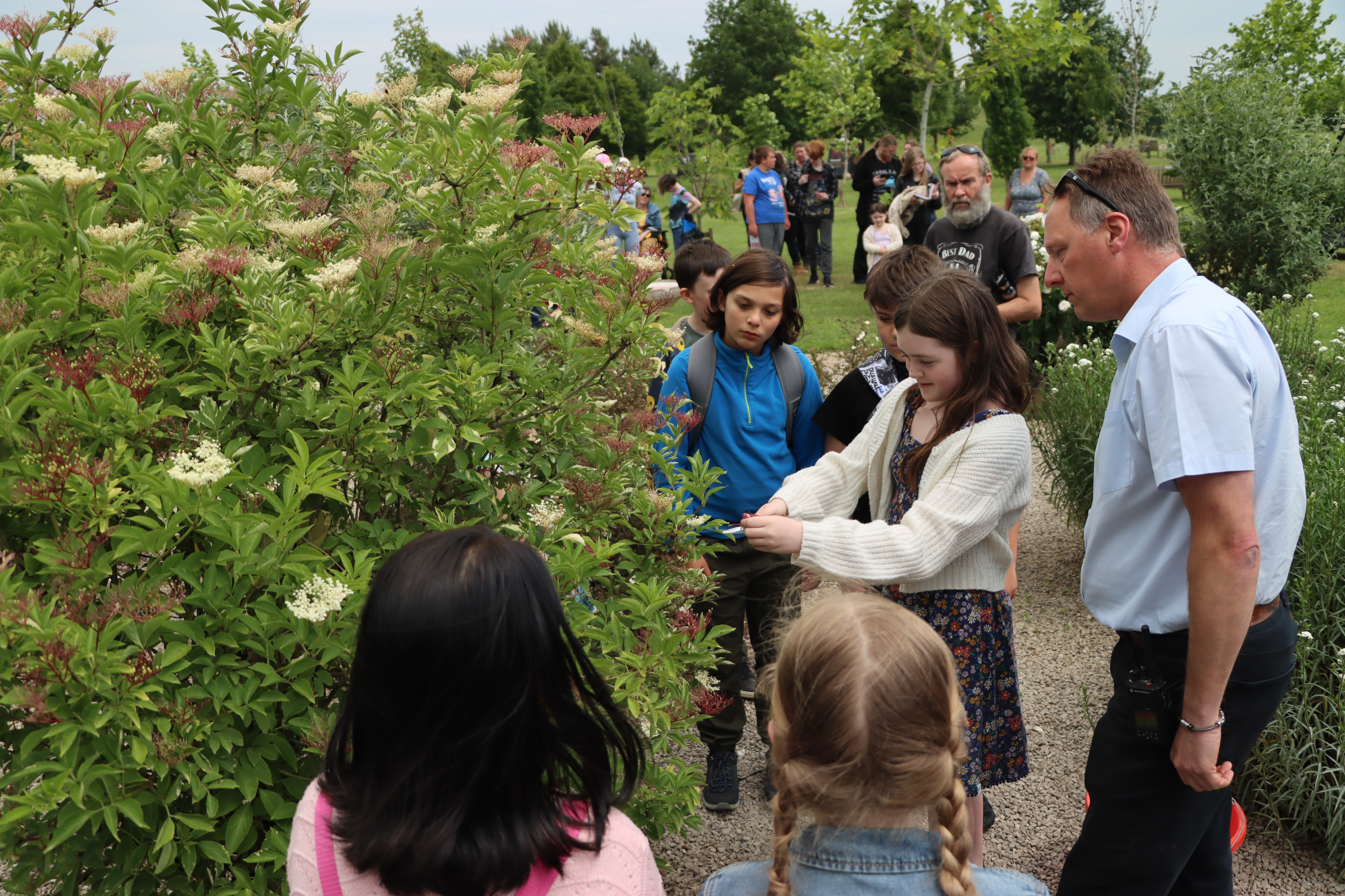 Students taking part in the Anne Frank Day tree cutting