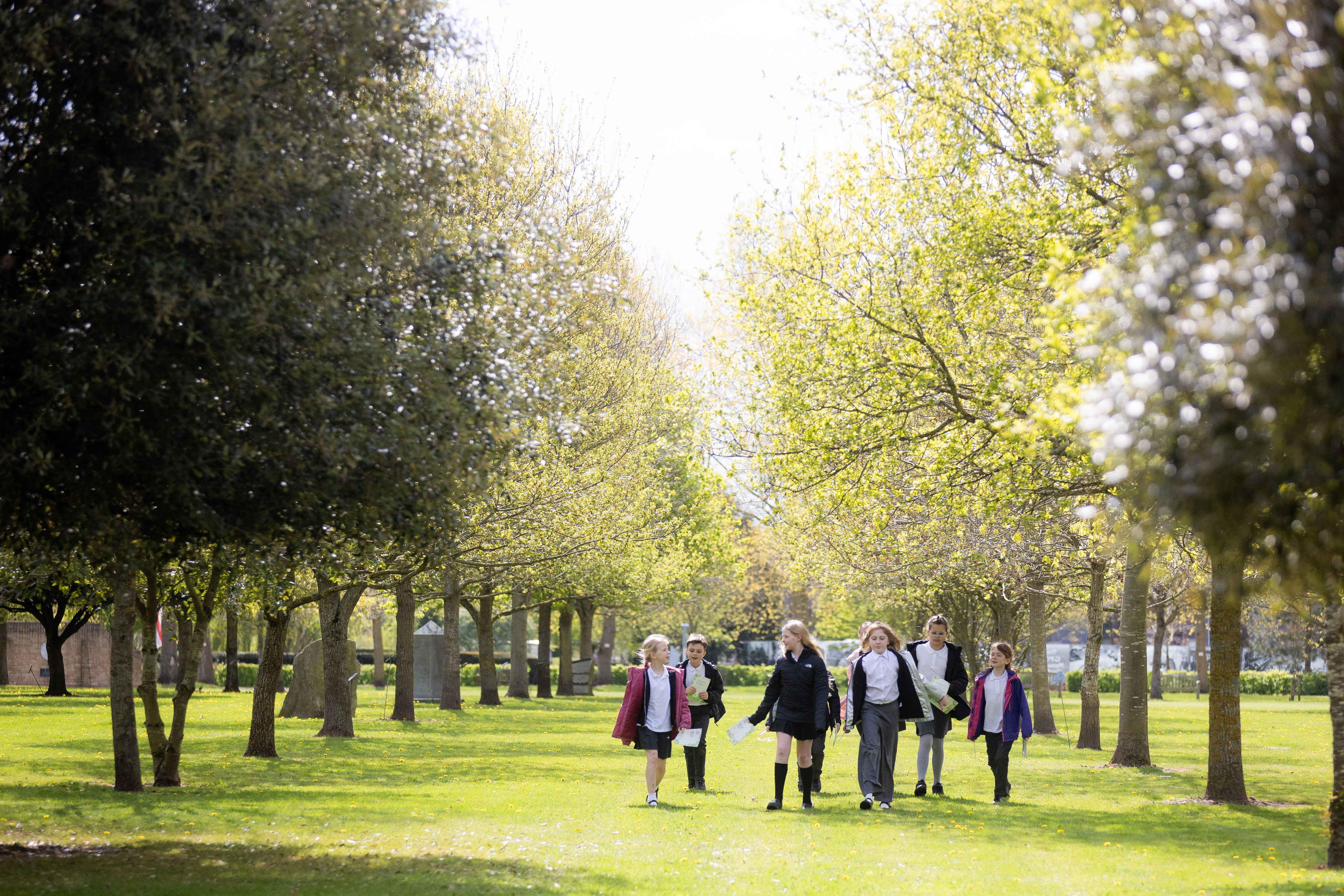 Key stage two students chatting and walking amongst the trees at the Gardens