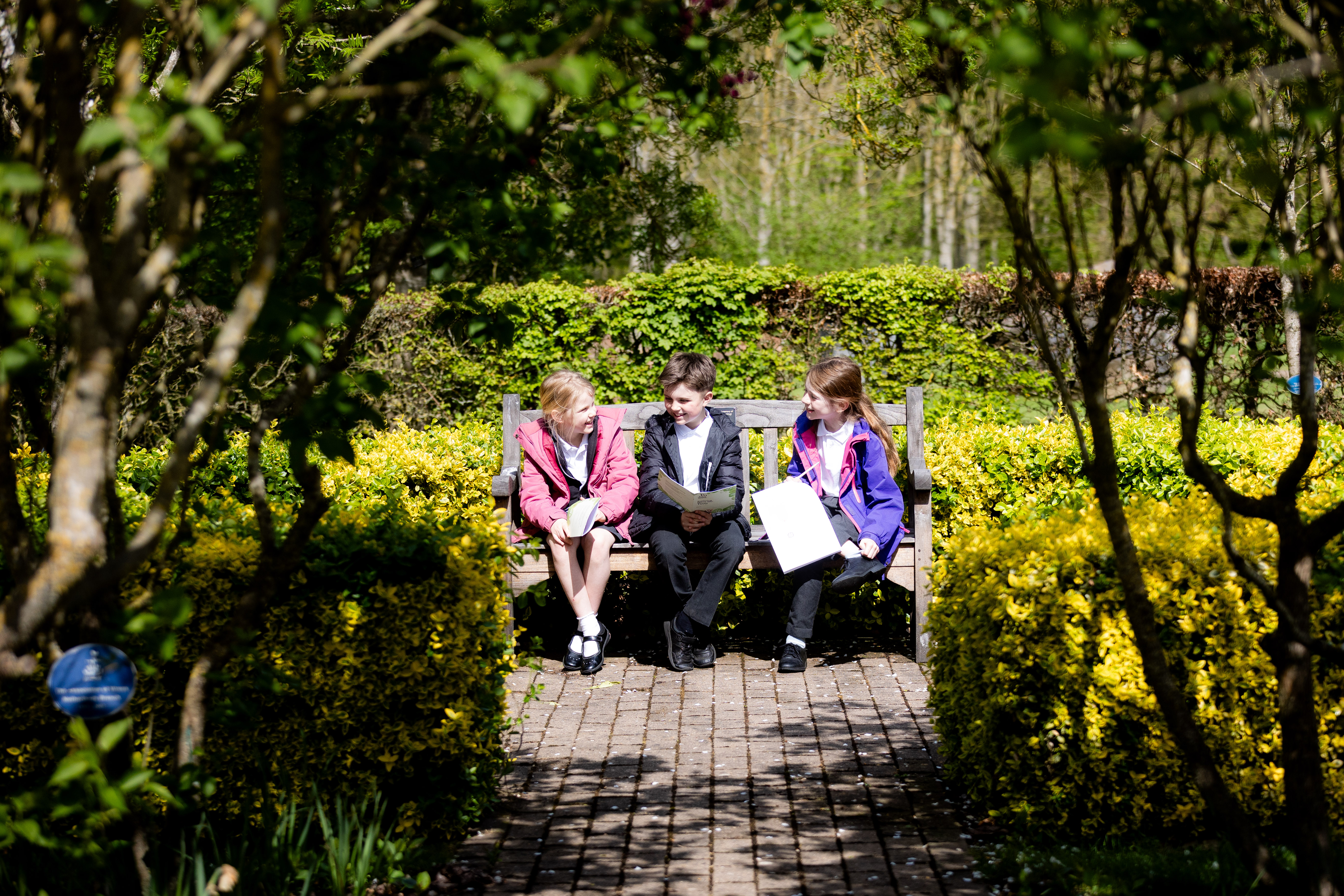 Key stage two students sat on a bench within the green woodland landscape