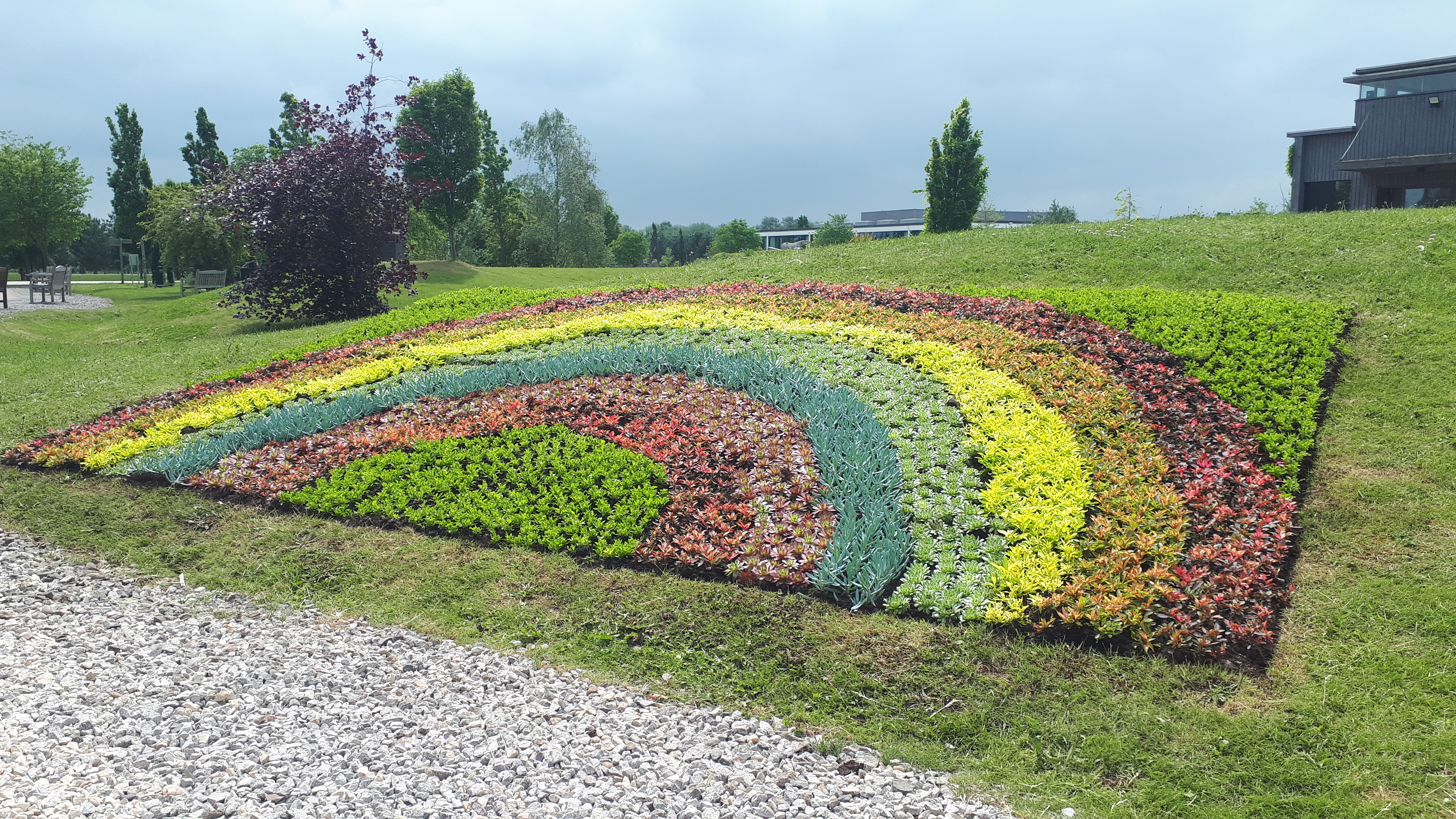 NHS Rainbow Bed planted at the National Memorial Arboretum