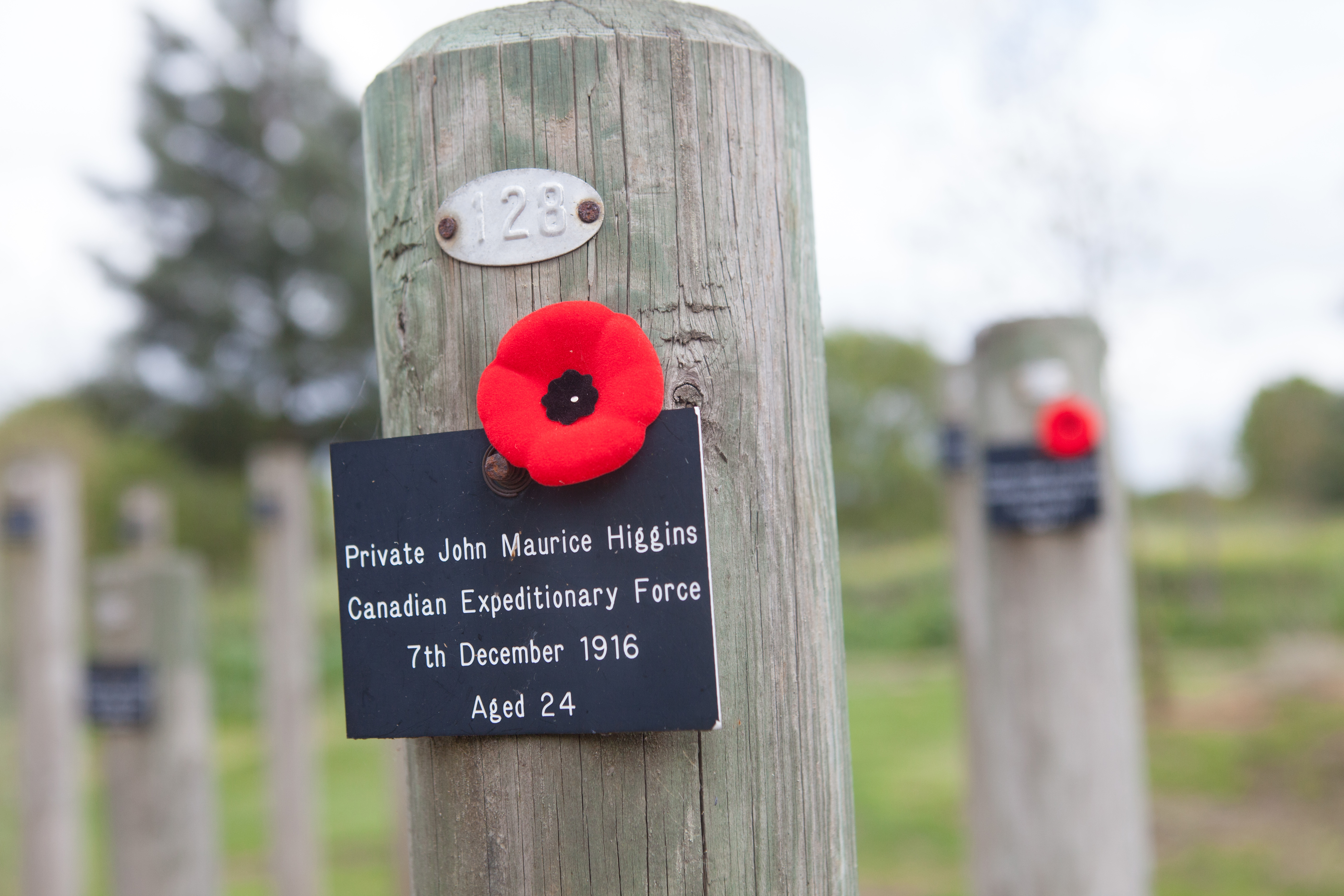 An individual post at the Shot at Dawn Memorial. Plaque depicted reads Private John Maurice Canadian Expeditionary Force 7 December 1916 Aged 24