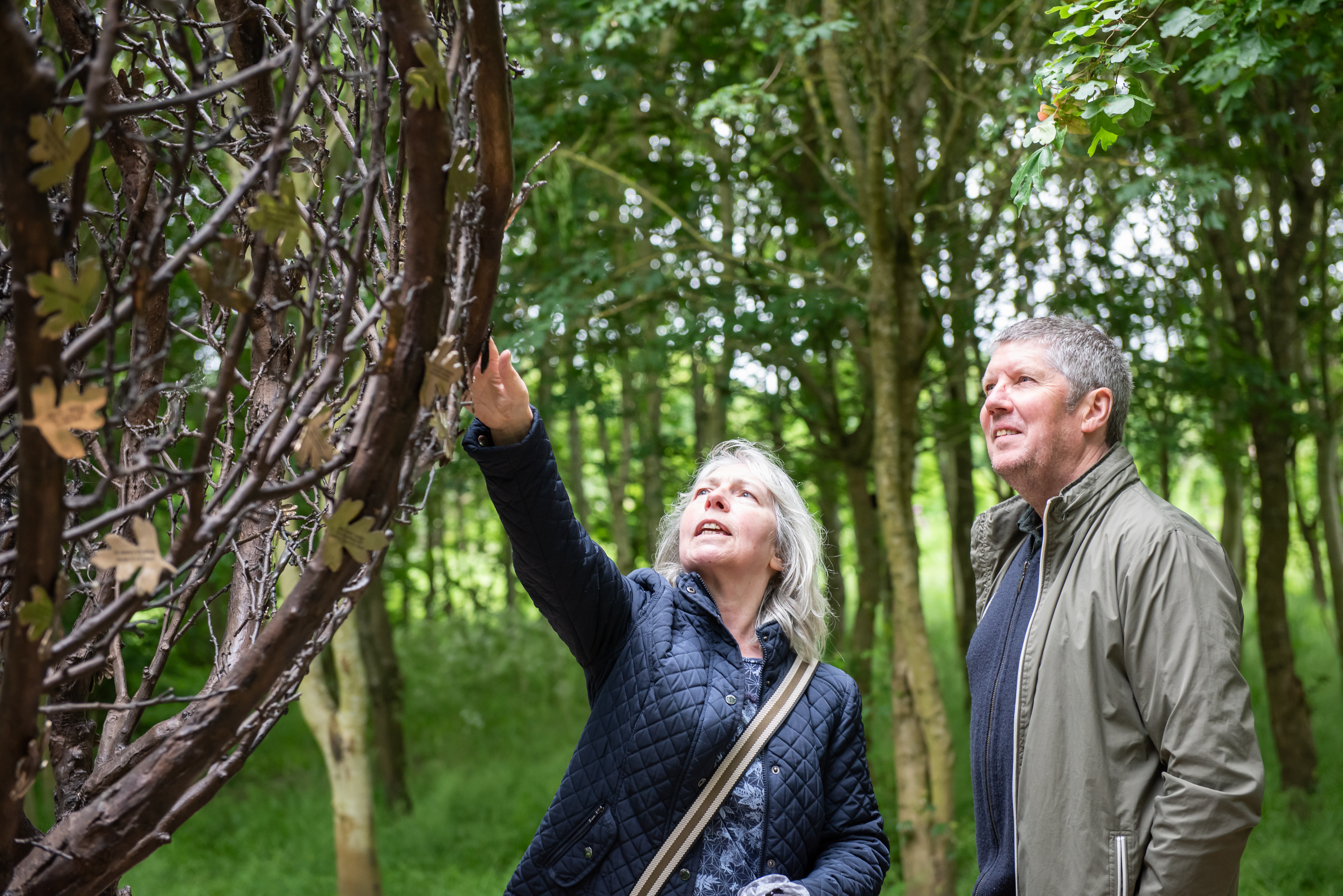 Visitors looking at the Tree of Cherished Memories