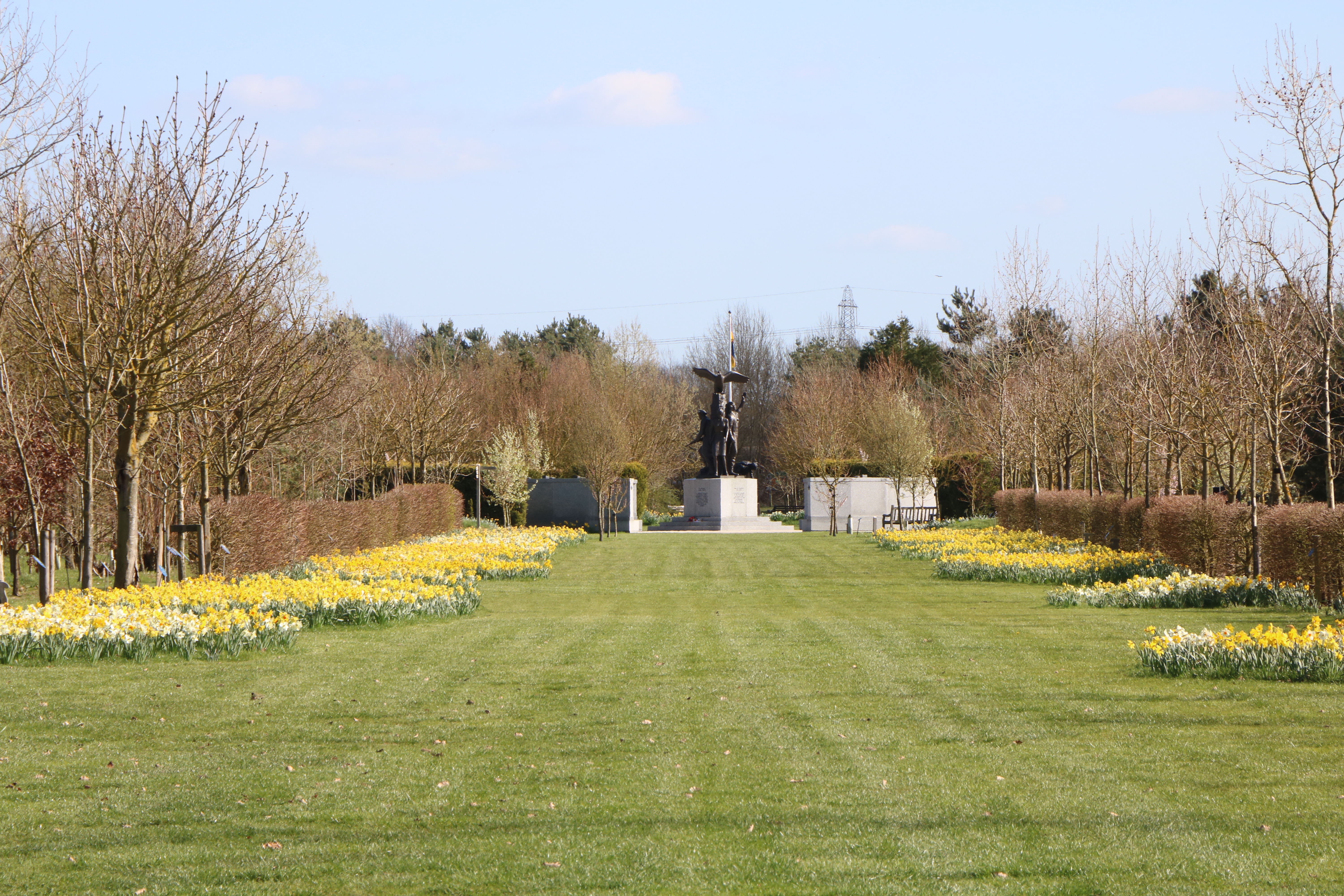 The Beat, a long strip of grass, is adorned with daffordils.