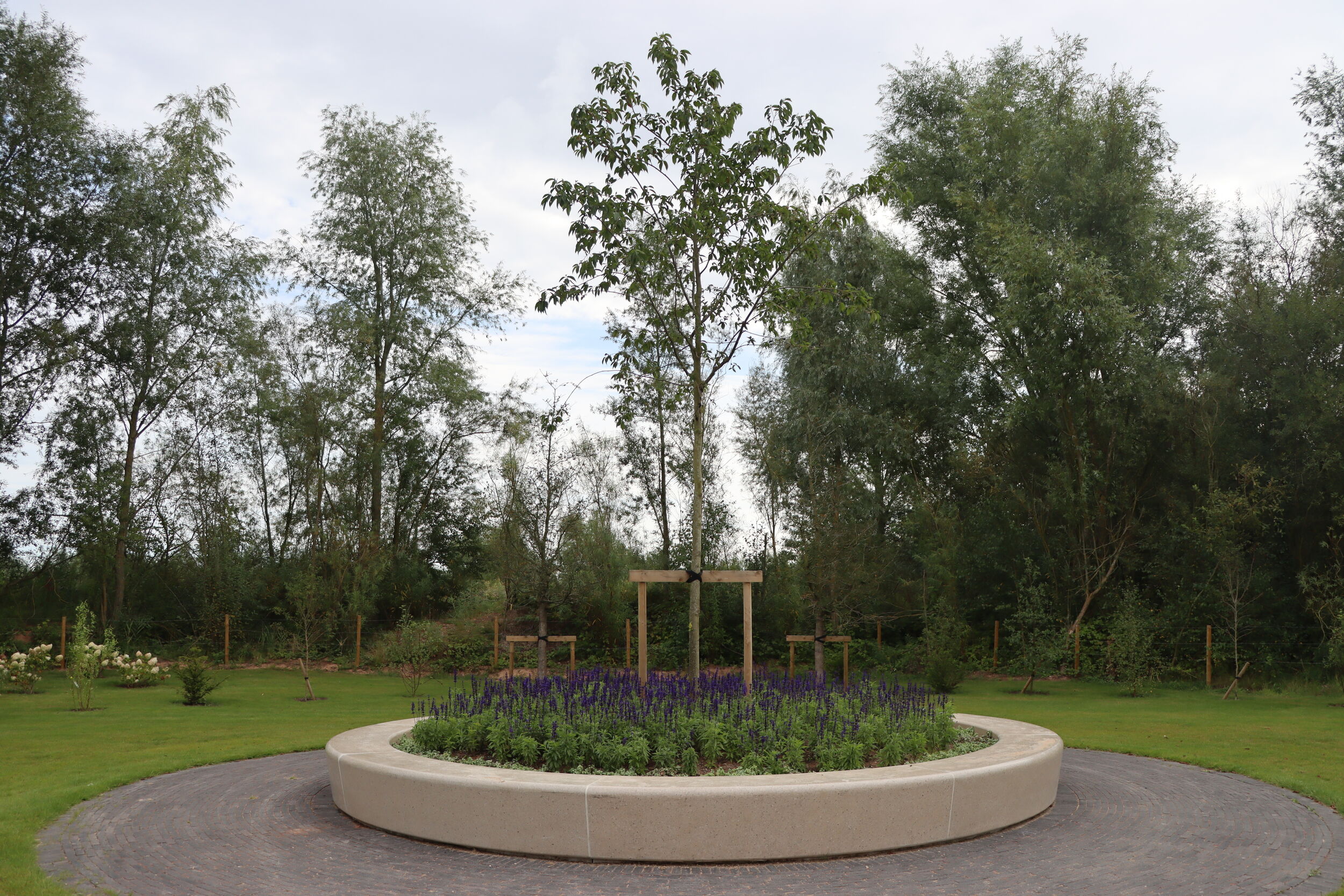A stately Spaeth Alder tree sits surrounded by a beautiful seating area, inviting visitors to pause and take a moment and reflect.