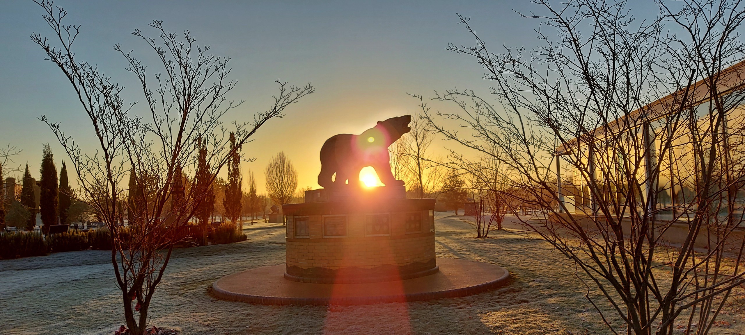 Winter Image 3 - credit Malcolm Walsh