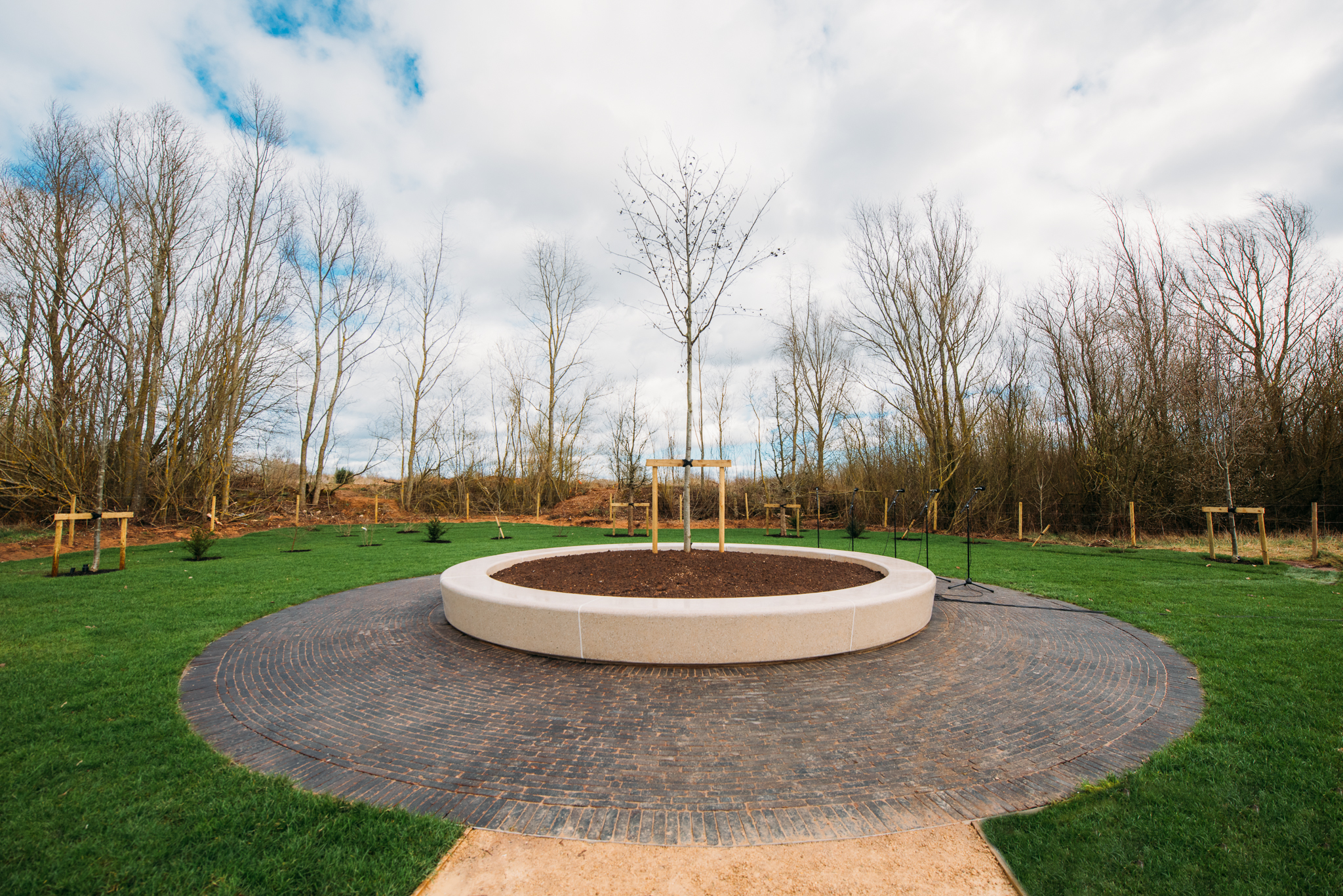 Trees of Life Dedication