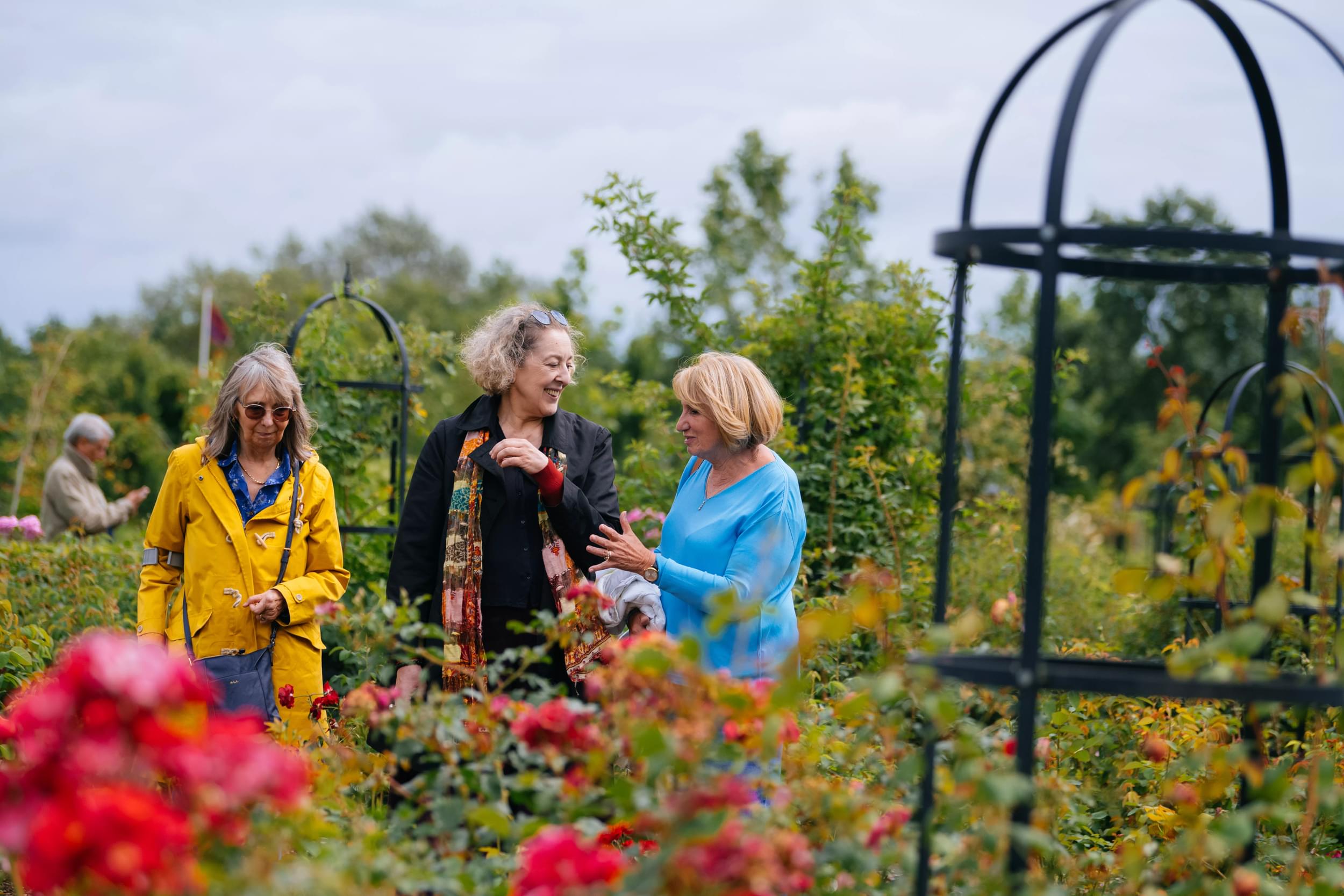 Visitors walking in the War Widows Rose Garden