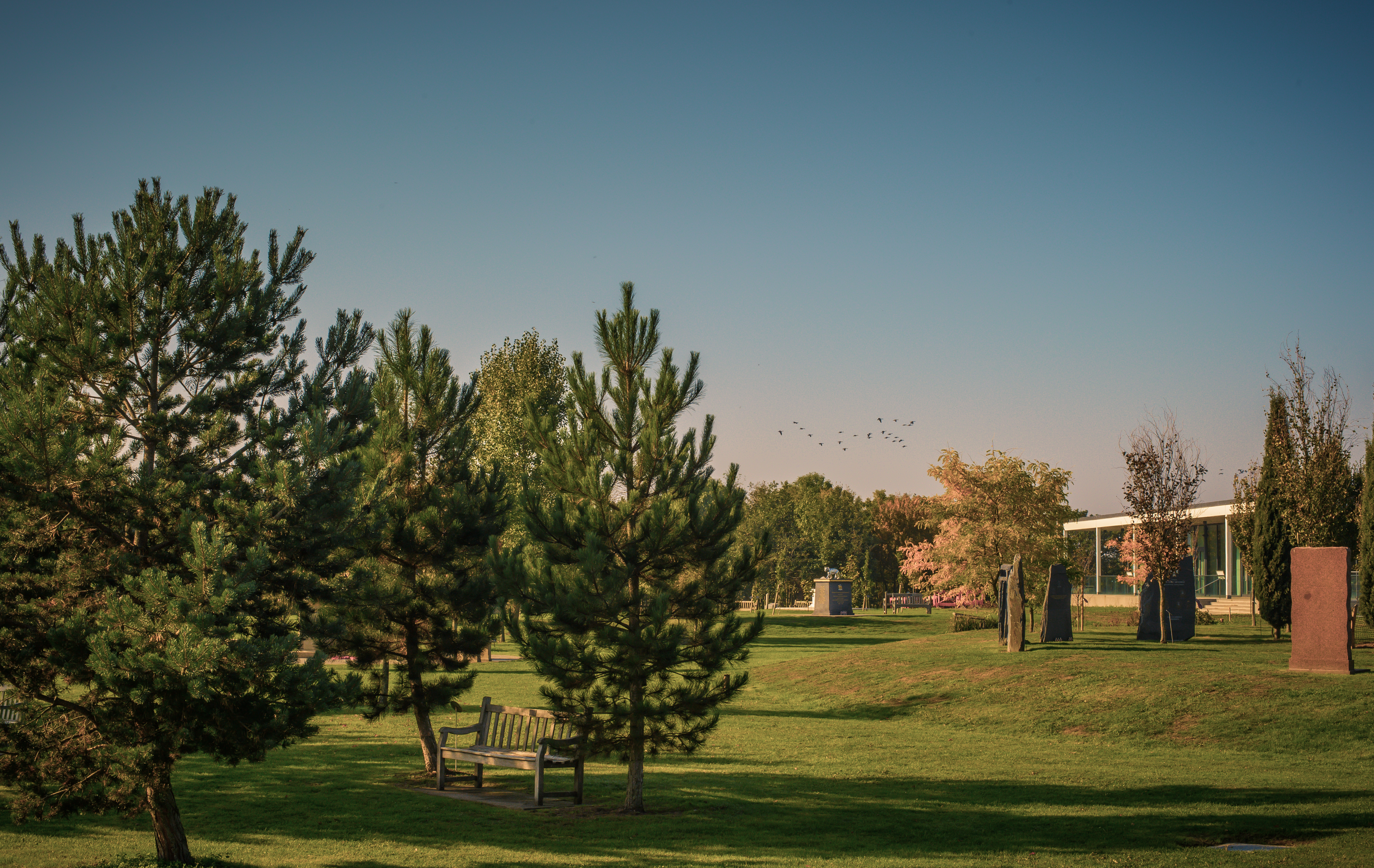 Early morning sunrise over the National Remembrance Gardens, with a flock of birds flying in the background and some stone memorials to the right.